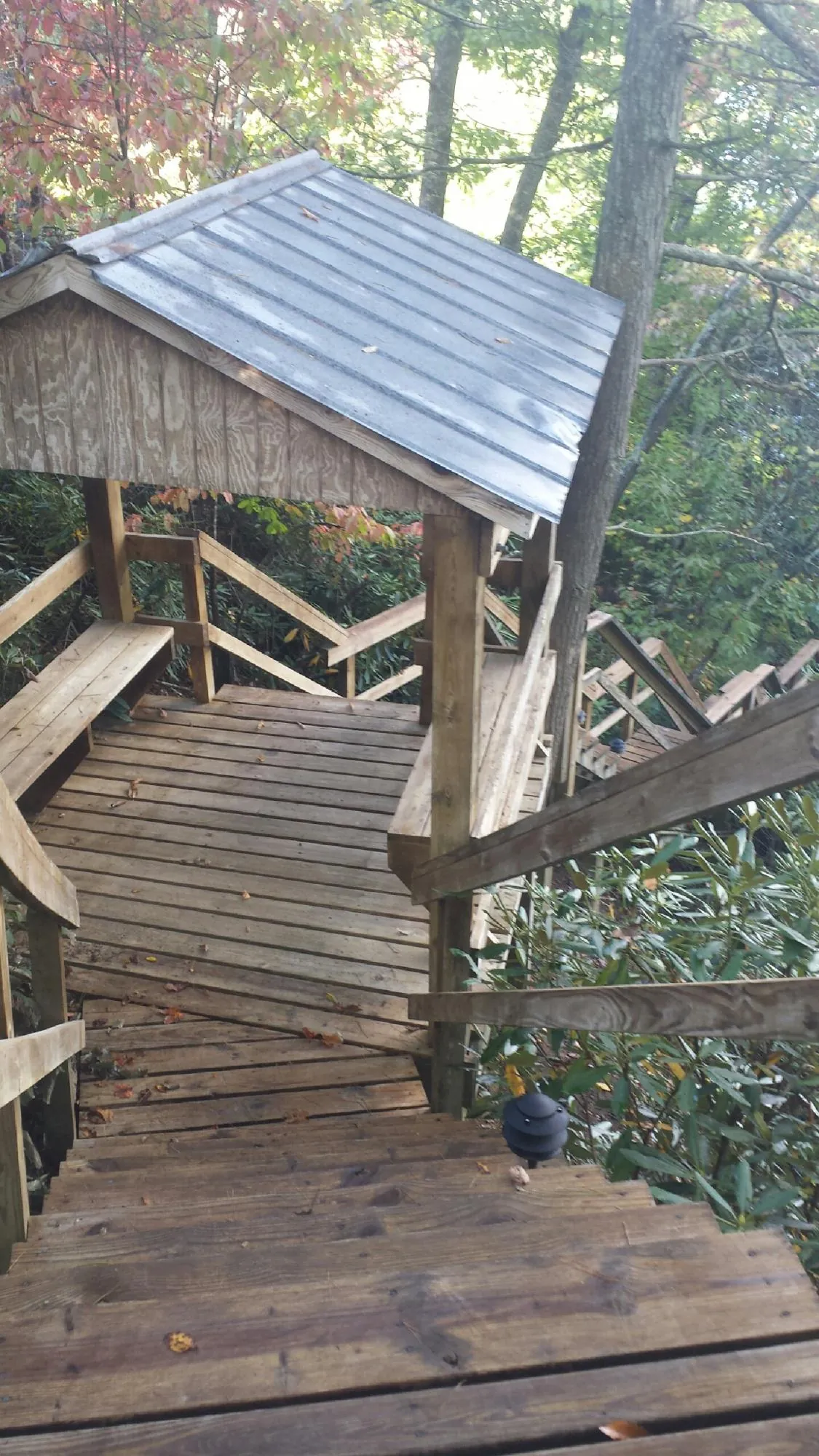 Metal roofed shelter over wooden steps on a wooded walkway — Skylight Repair & Installation work by our crew in Dellroy