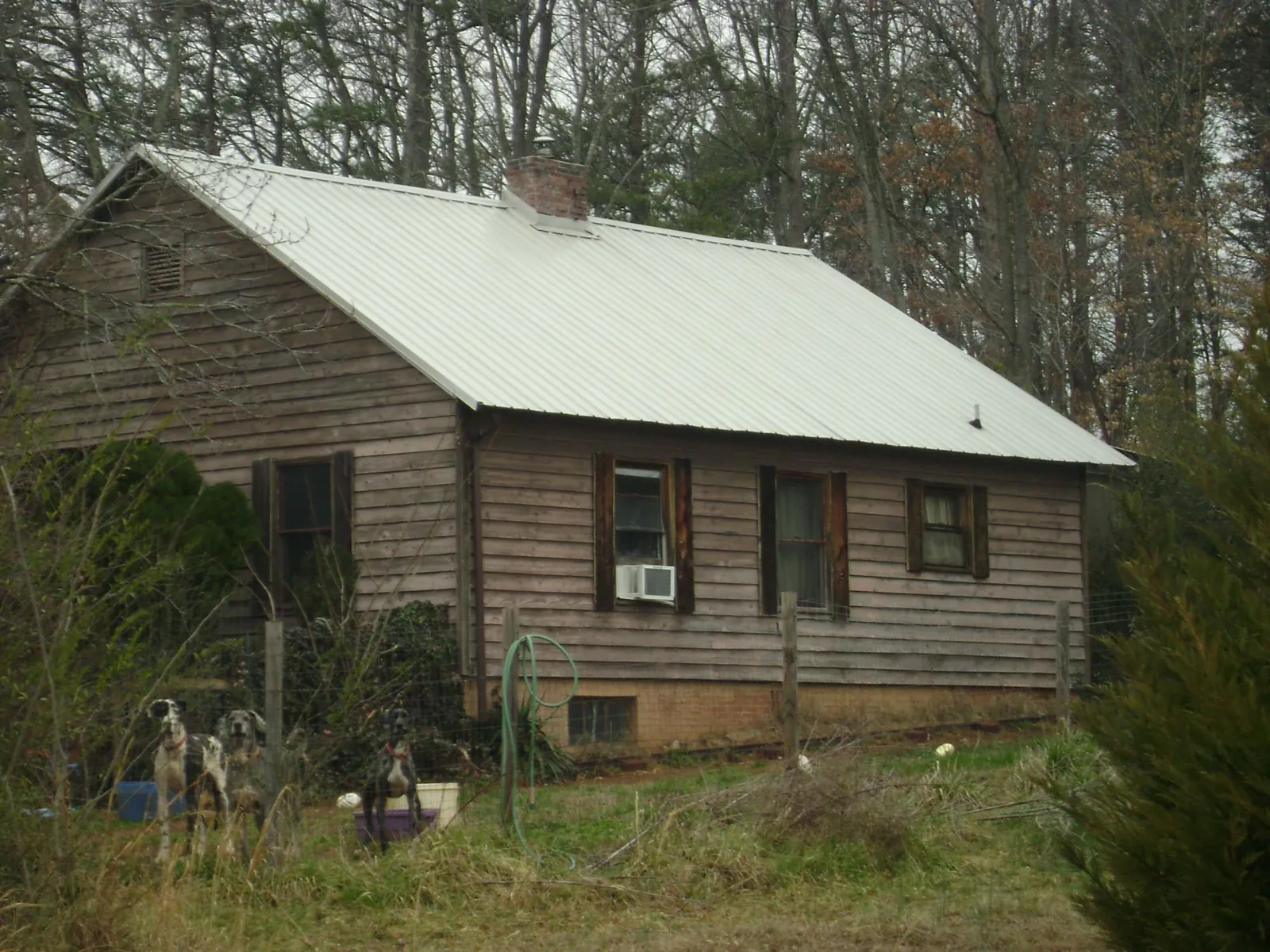 White metal roof on an old wood sided farmhouse, from a Metal Roof Installation job in Dellroy